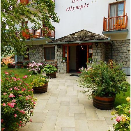 Hotel Olympic Metsovo Buitenkant foto
