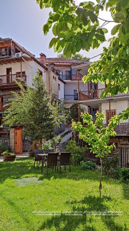Hotel Olympic Metsovo Buitenkant foto