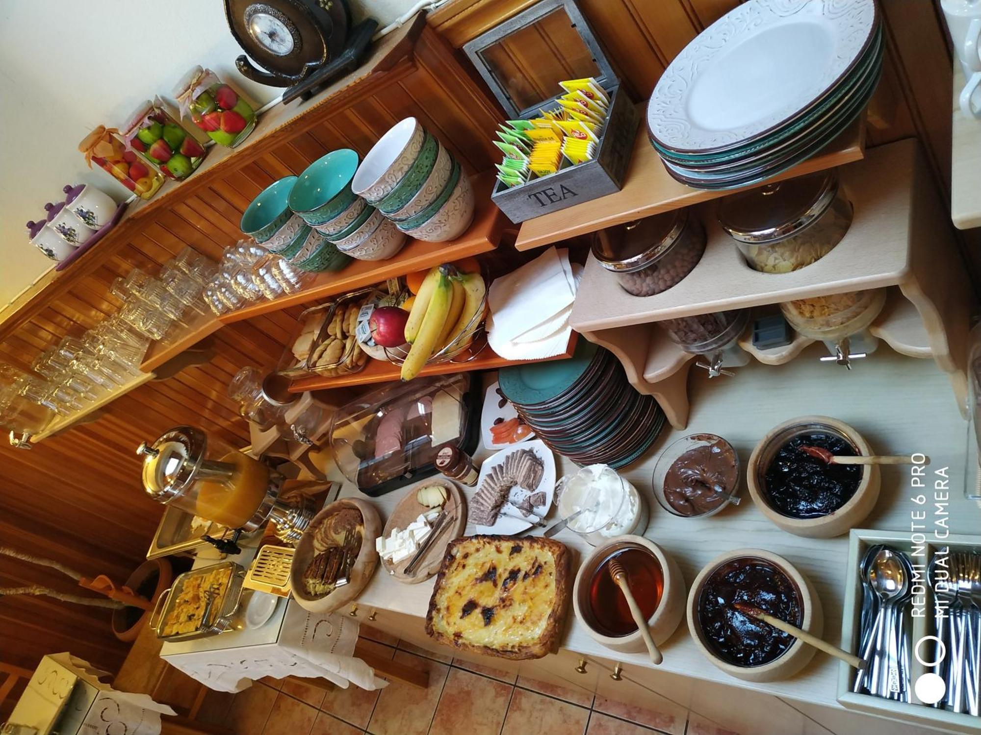 Hotel Olympic Metsovo Buitenkant foto