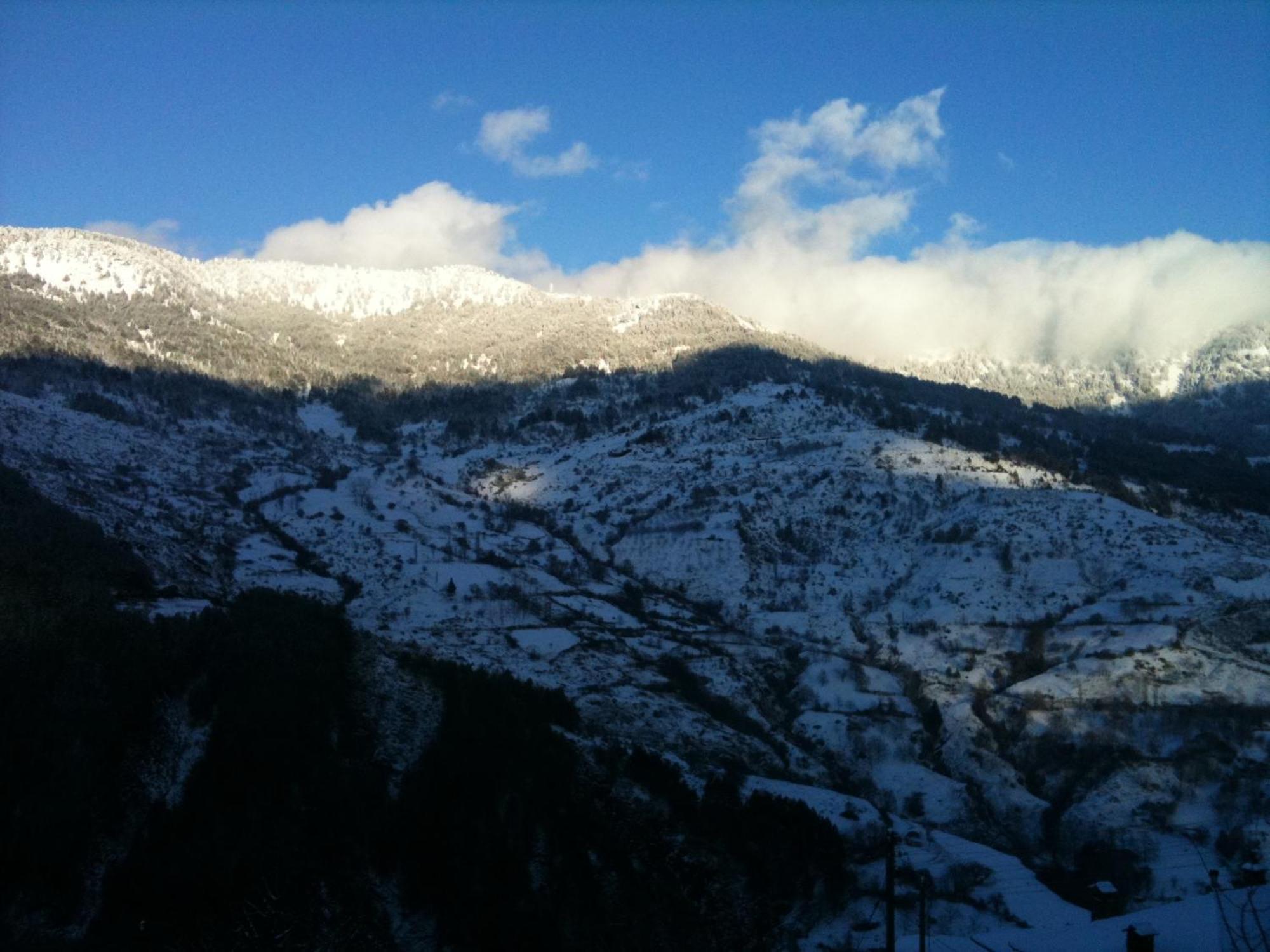 Hotel Olympic Metsovo Buitenkant foto