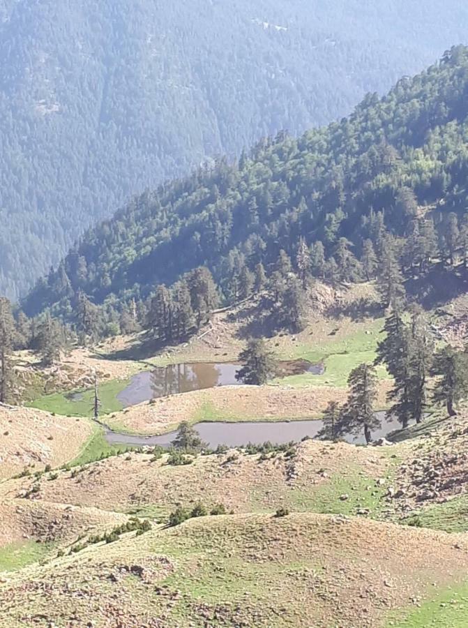 Hotel Olympic Metsovo Buitenkant foto