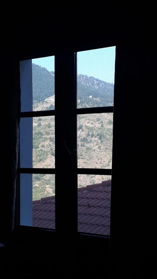 Hotel Olympic Metsovo Buitenkant foto